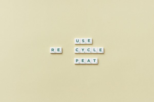 Exploration des Perspectives et Obstacles du Secteur de l'Emploi en Santé Publique