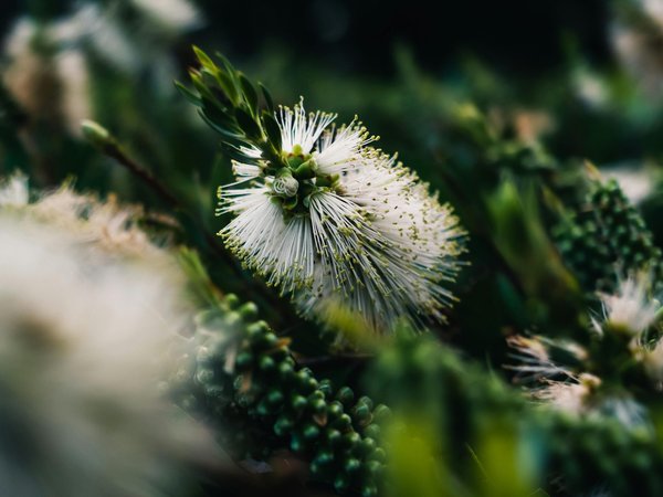 Photo ecologie : pourquoi choisir photo clim pour vos besoins écologiques ?